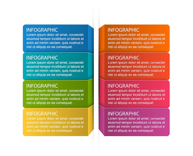 Vector options infographics template.