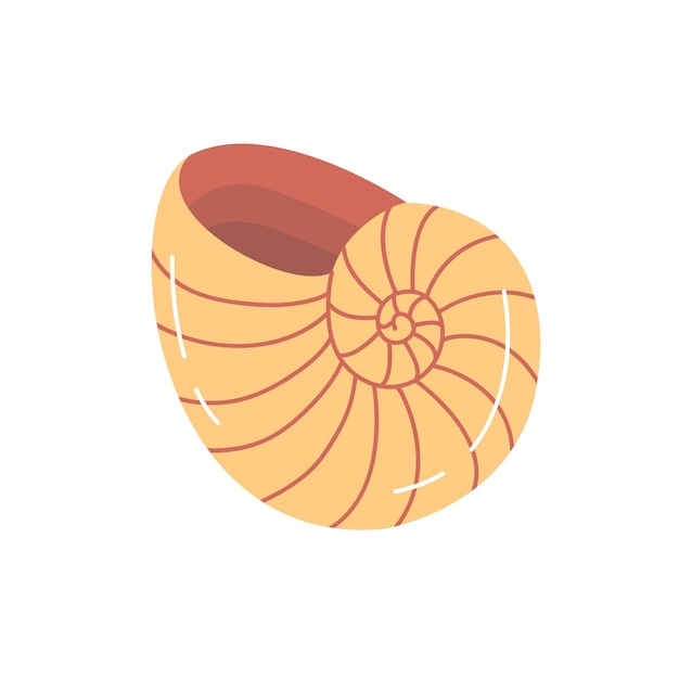 orange ammonite shell vector fossil ocean element