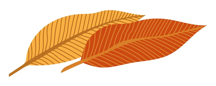 Vector orange autumn leaves vector illustration. autumn halloween frame with leaves, graphic icon or print isolated on white background.