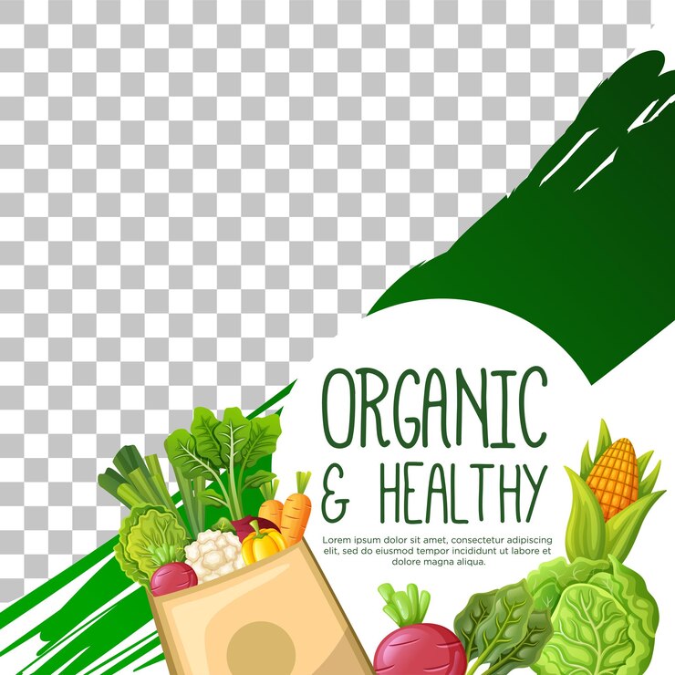 Vector organic and healthy social media post template design
