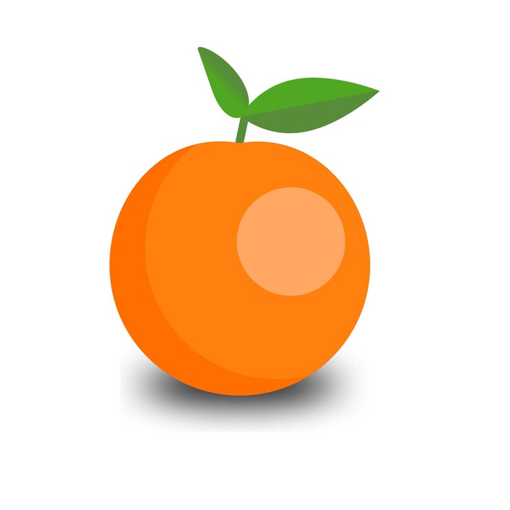 Vector organic food design vector