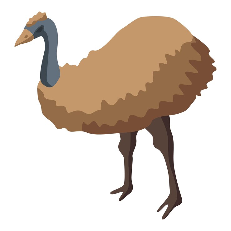 Vector ostrich icon isometric of ostrich vector icon for web design isolated on white background