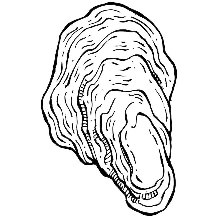 Vector oysters vector with engraving style illustration of logo or emblem for design seafood menu, lunch. classic american steakhouse or french bistro appetizer.