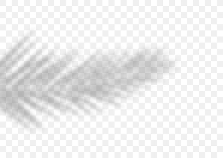 Vector palm leaf shadow vector shadow overlay effect vector illustration