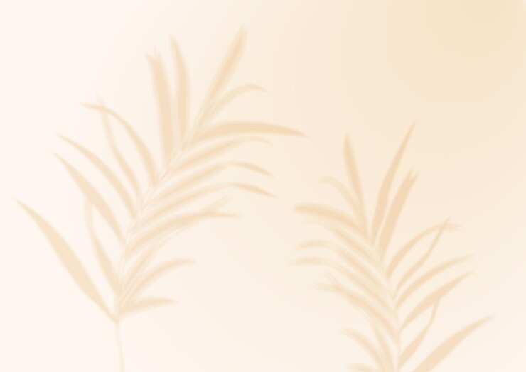 Palm Leaf Shadows Transparent Mockup Summer Vector