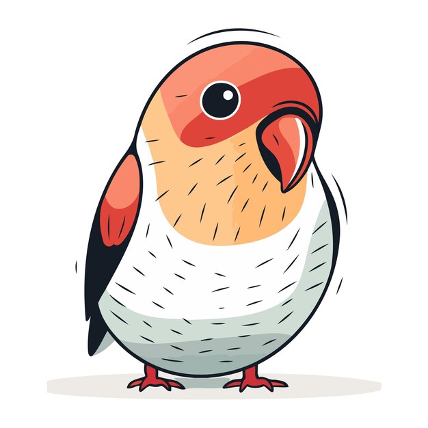 Parrot vector illustration Isolated parrot on white background