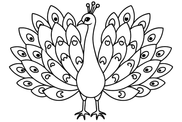 Peacock line art