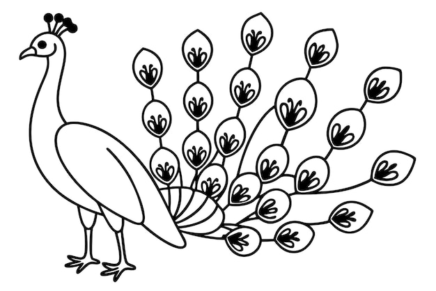 Peacock line art
