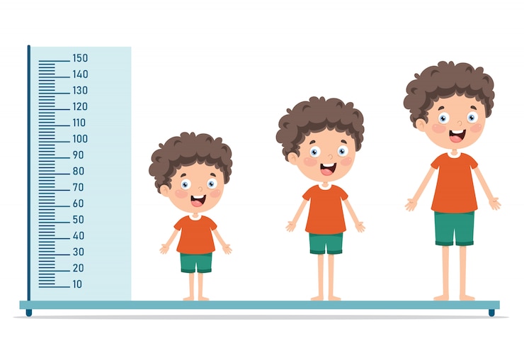 Vector pengukur tinggi badan untuk anak kecil