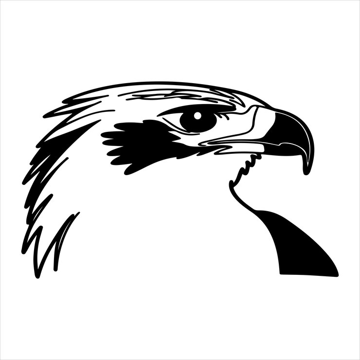 Vector philippine eagle majestic raptor of the philippine rainforest