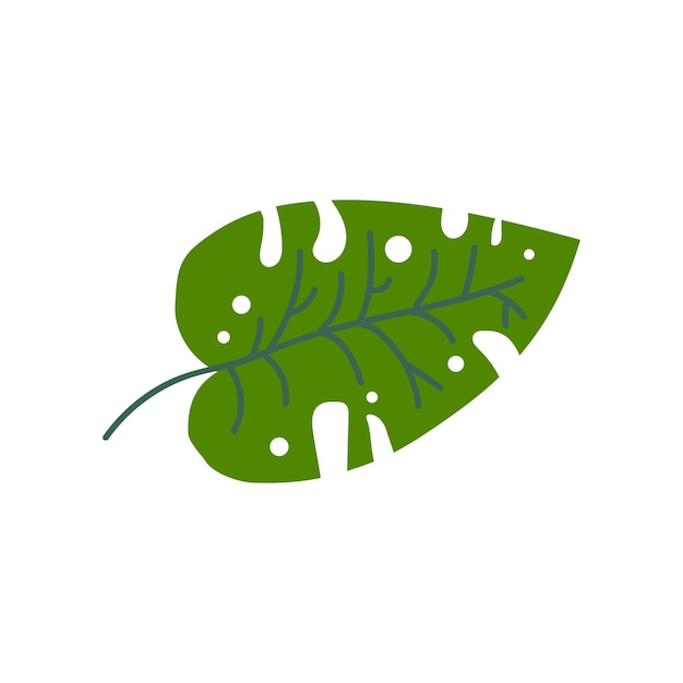 Philodendron Leaf Botanical Design Element Vector Illustration on White Background