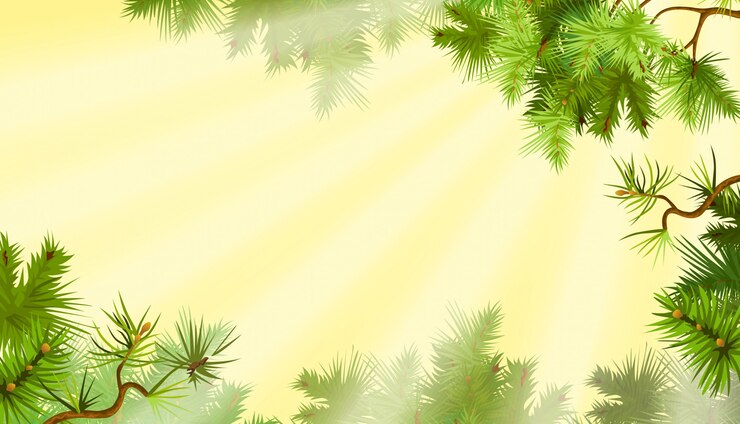 Vector pine branches. sunny morning.