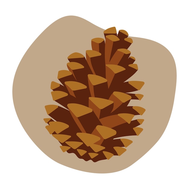 Pine cone isolated item flat vector illustration closeup