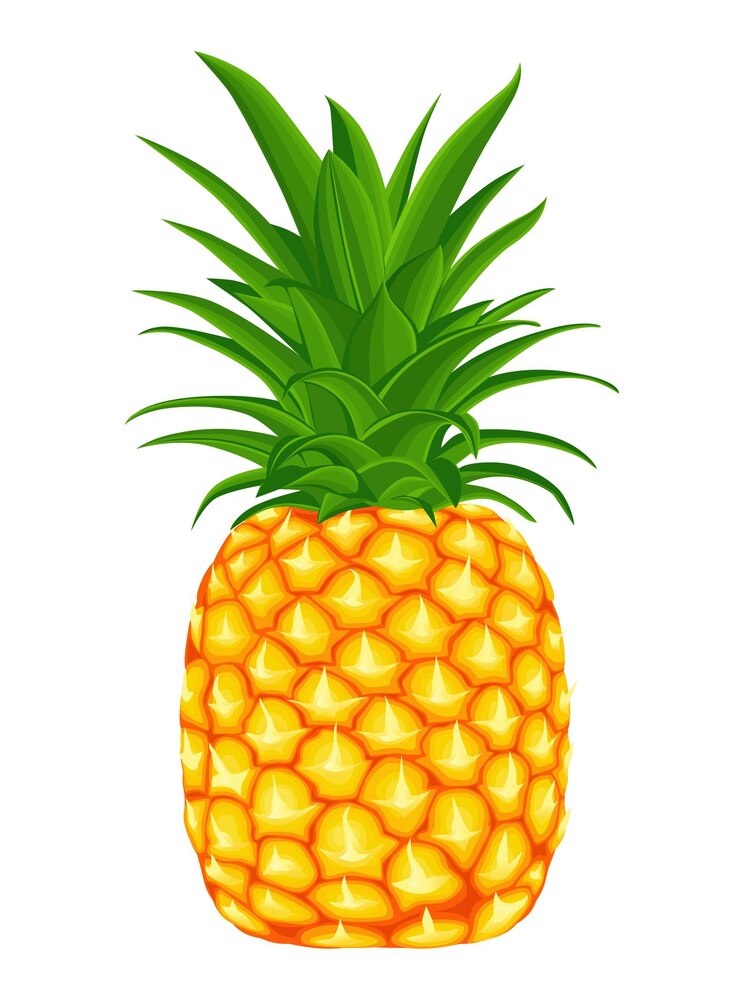 Vector pineapple on a white background