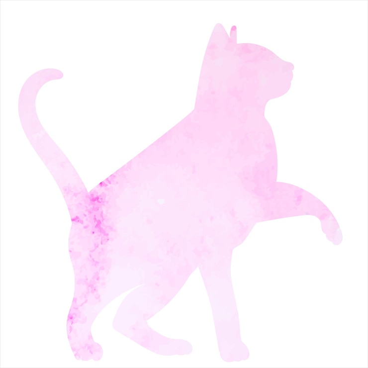 Vector pink cat watercolor silhouette isolated