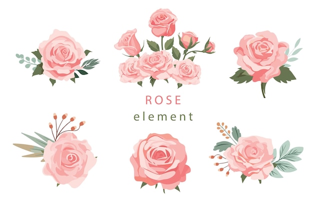 pink rose object element set with leafillustration vector for postcardsticker