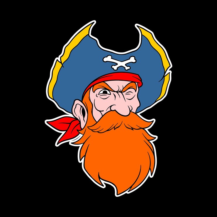 Vector pirate head logo