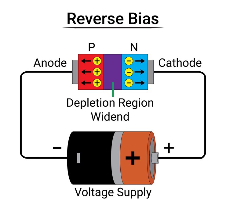 PN Junction Diode Reverse Bias