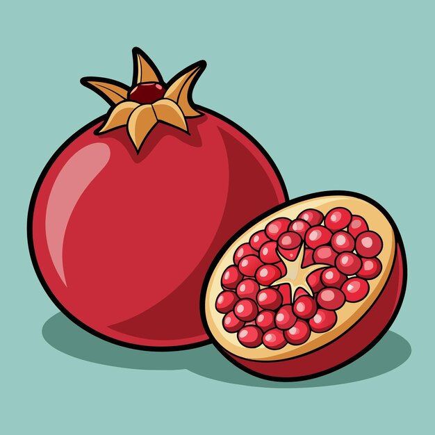 Pomegranate with half pomegranate isolated flat vector illustration