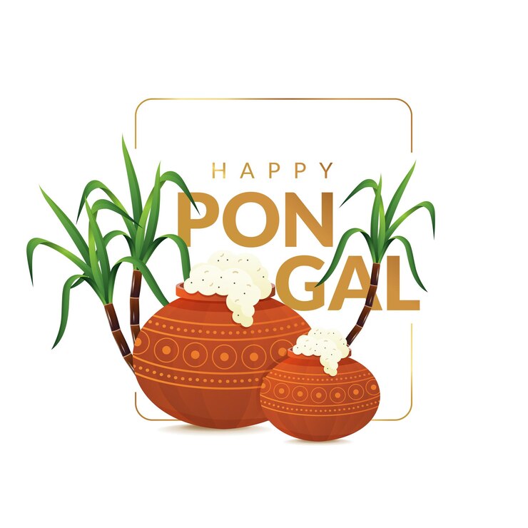 Vector pongal the religious festival of south india happy pongal festival greetings