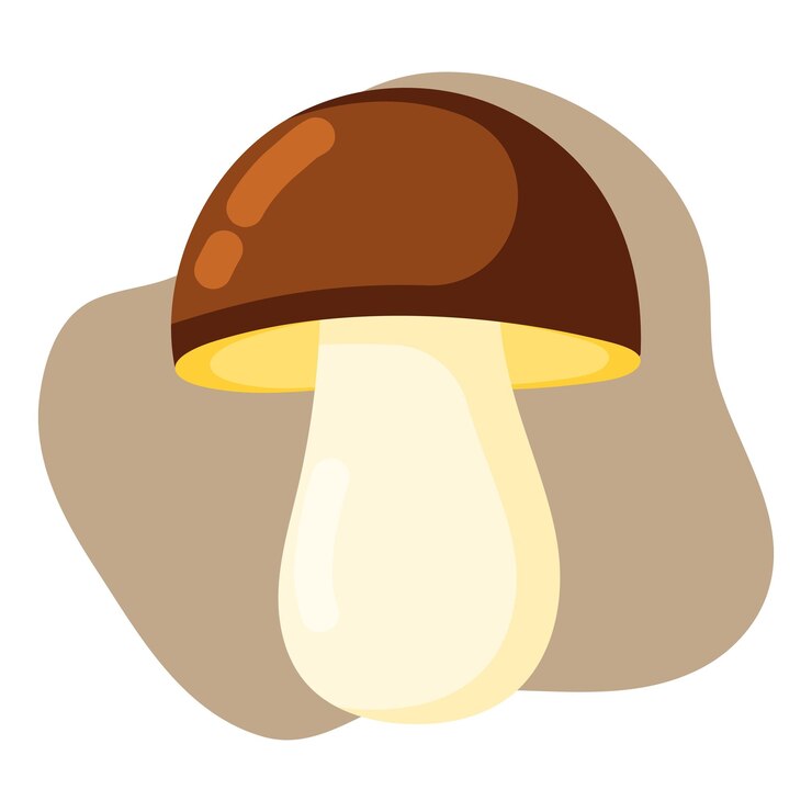 Porcini mushroom flat vector illustration isolated element Autumn harvest