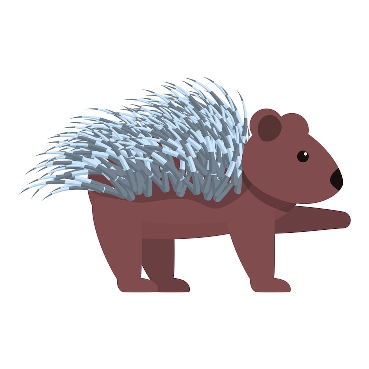 Vector porcupine animal icon cartoon of porcupine animal vector icon for web design isolated on white background