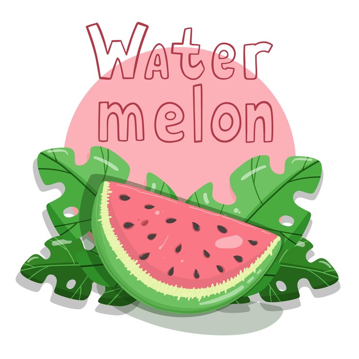 Postcard with watermelon slices leafs and cubes of ice with hand lettering vector flat illustration