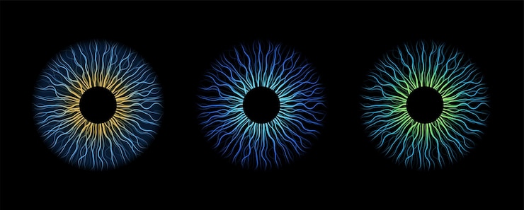 Vector poster iris