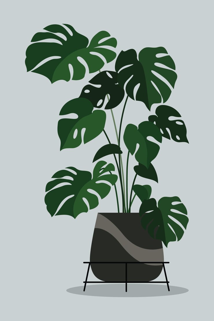 Potted plants with dense foliage With a plain background Minimalist home decoration