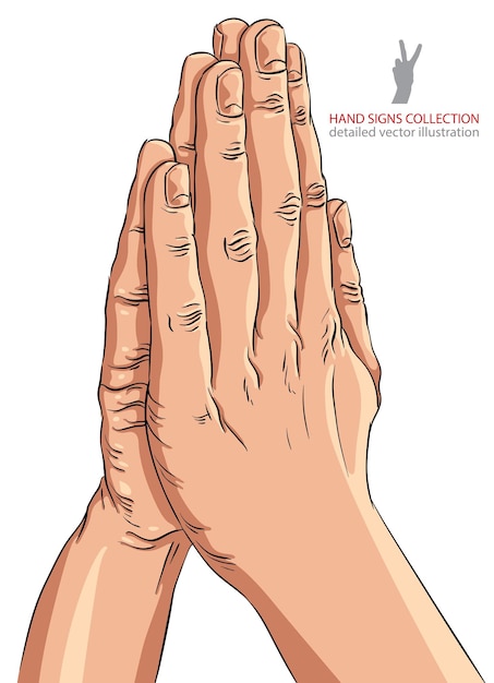 Praying hands, detailed vector illustration.