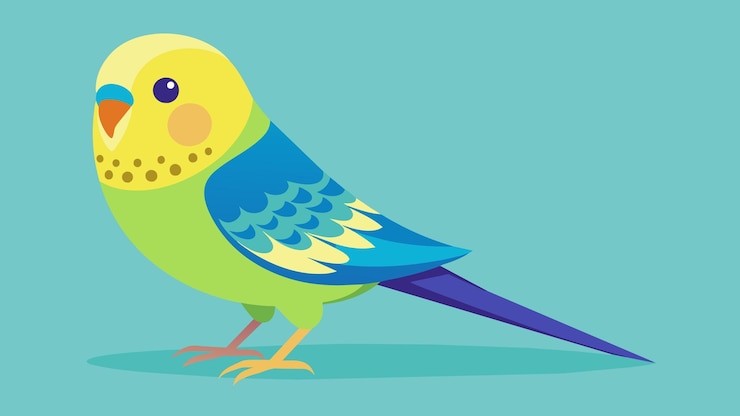 Vector printing pod graphics design artwork budgerigar budgies tshirt hoodie pillow cover clipar