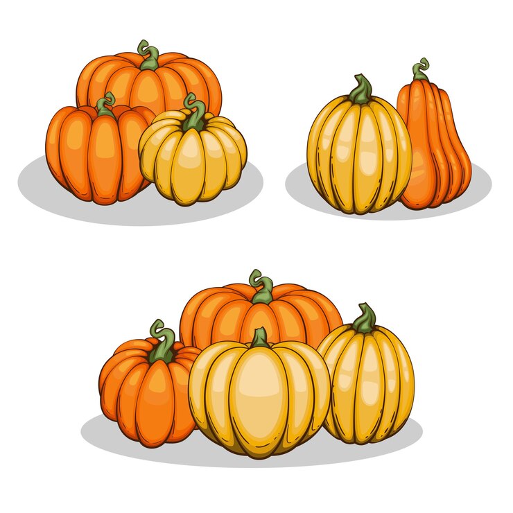 Pumpkins illustration isolated on white Autumn Thanksgiving Pumpkins arrangement on white