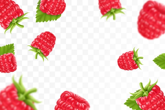 raspberry background flying raspberry with green leaf on transparent background raspberry falling from different anglesfocused and blurry objects 3d realistic vector