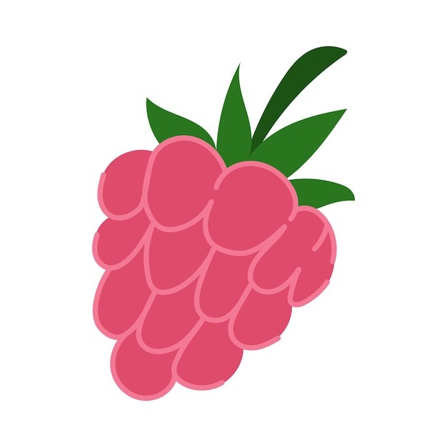 raspberry berry with green leaves