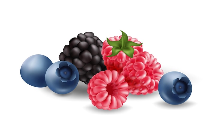 Vector realistic blueberries raspberries and blackberries delicious fruits for any summer themed design