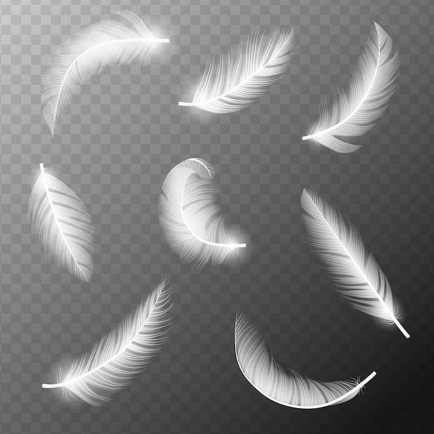 Realistic feathers White bird falling feather isolated Realistic 3d vector illustration