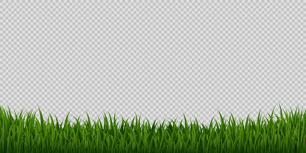 Realistic grass meadow 3d vector frame or border