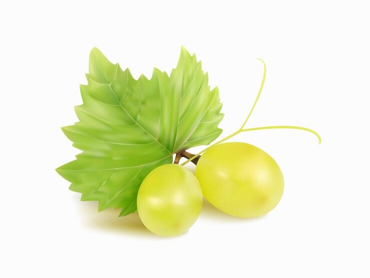 Realistic green grapes with green leaf