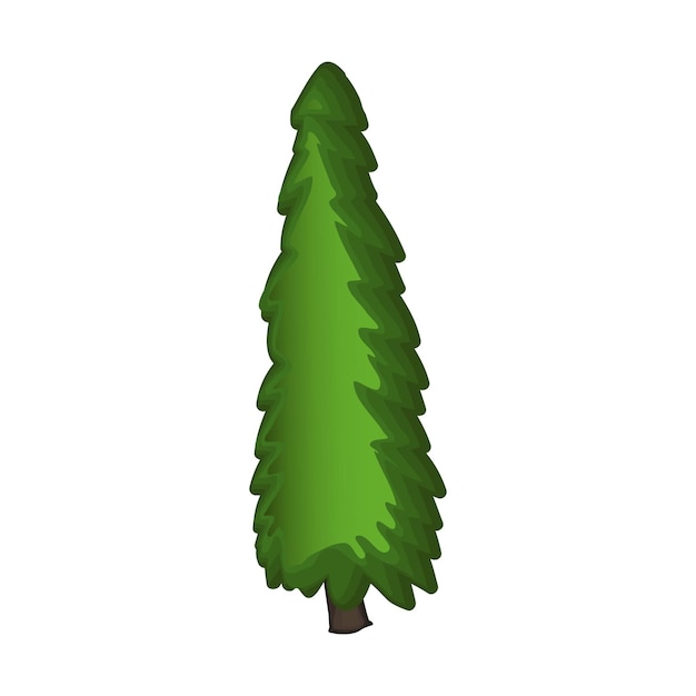 Realistic green spruce isolated on white background - Vector illustration