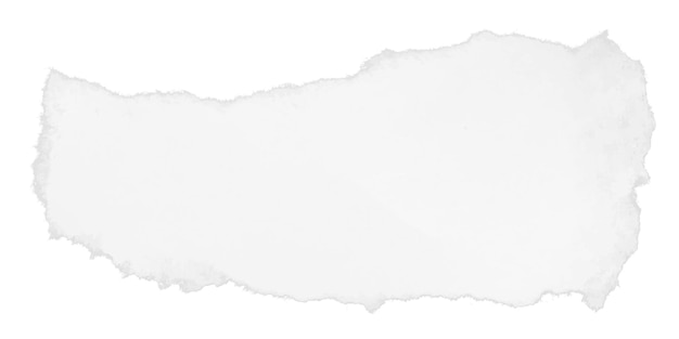 realistic ripped paper edge vector for use in digital artwork and creative graphic templates