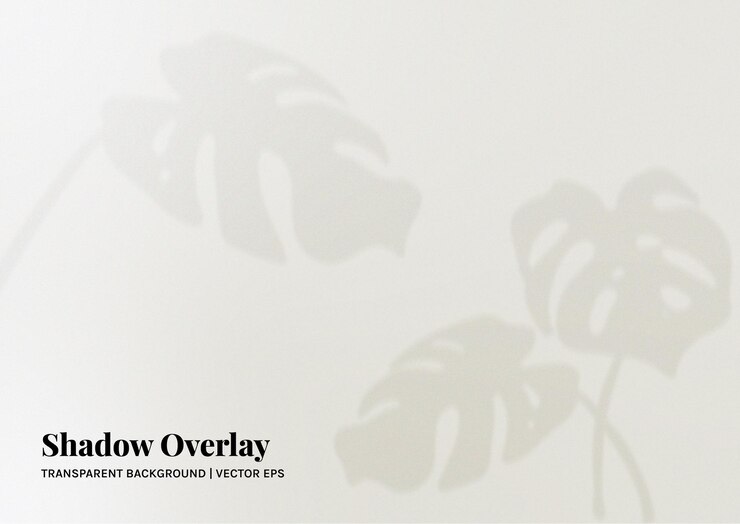 Realistic Shadow Overlay of Monstera Leaves on Wall Background