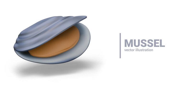 Vector realistic shell with open flaps round edible mollusk mussel vector raw oyster