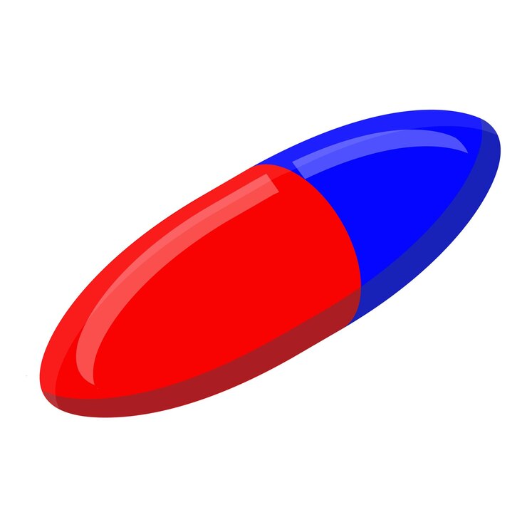 Vector red blue capsule icon isometric of red blue capsule vector icon for web design isolated on white background