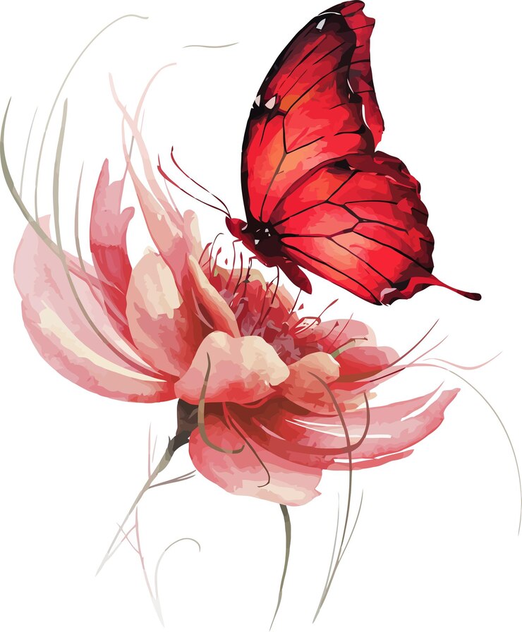 Red Butterfly With Flowers Illustration Vector Watercolor Sublimation Clipart