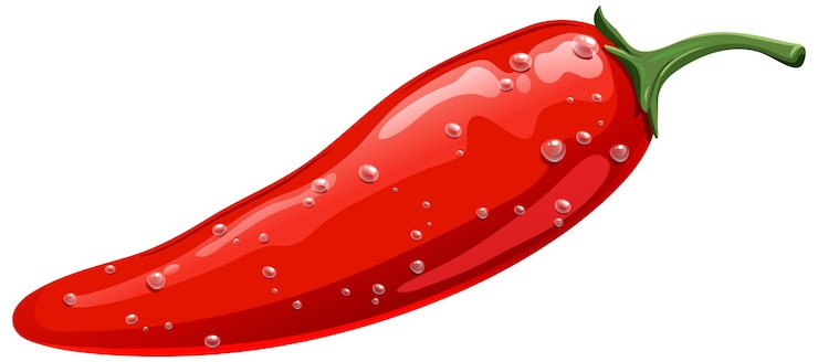 Vector red mexican chili pepper illustration