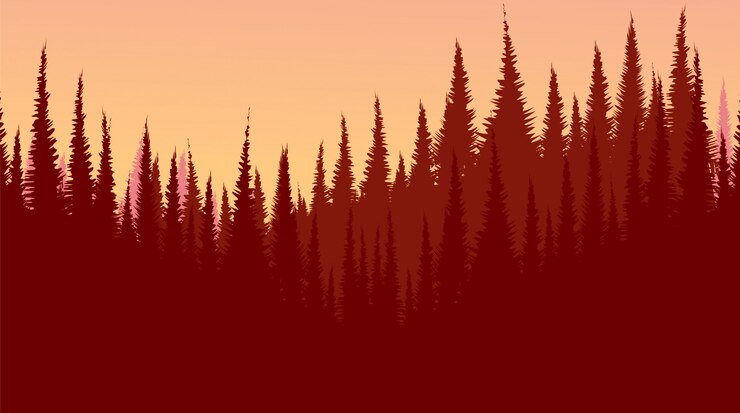 Vector red pine forest