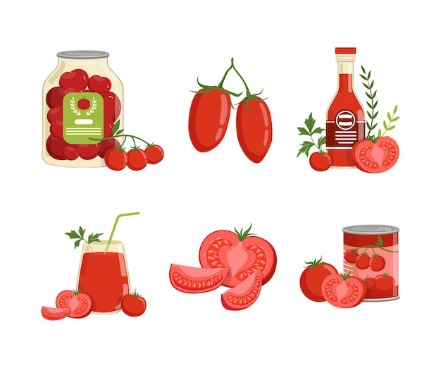 Red Tomato Food with Raw Vegetable Juice in Glass Ketchup Bottle and Canned Product Vector Set