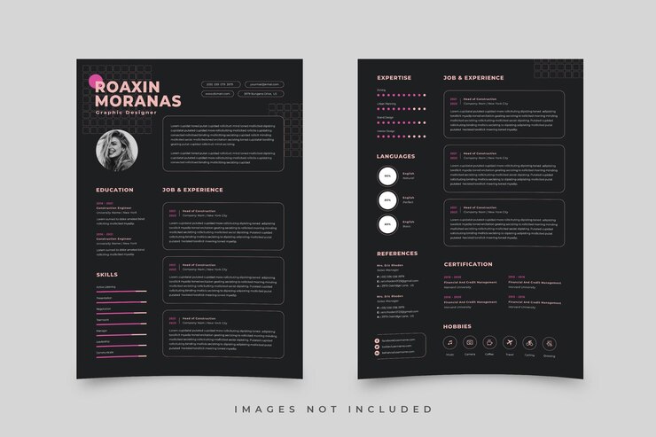 Vector resume professional