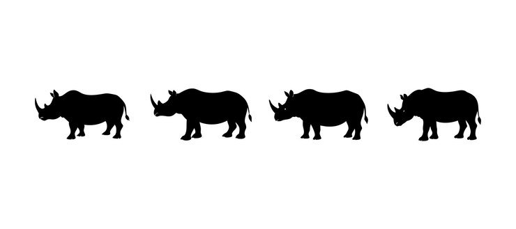 Rhino Vector Silhouettes HighQuality Graphics Downloads