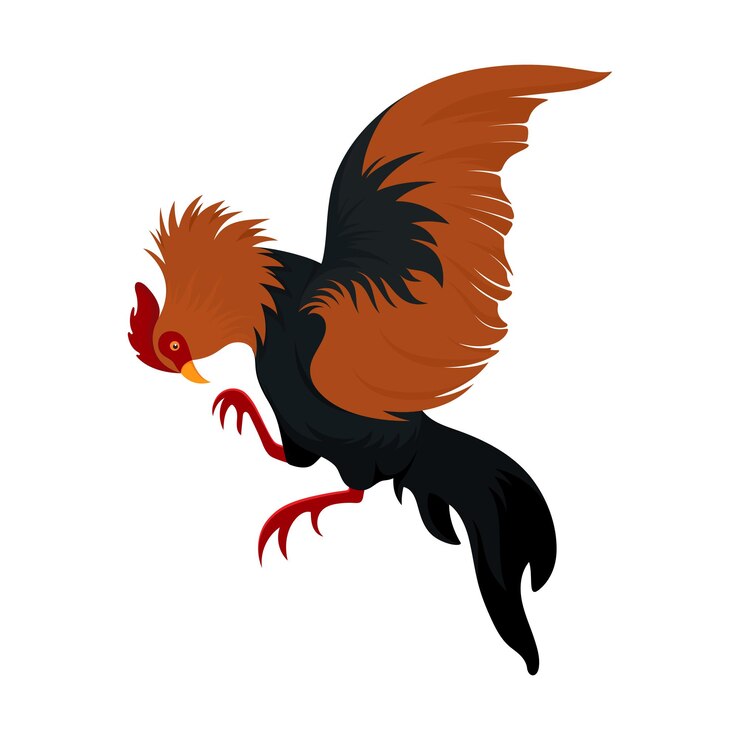 Vector rooster chicken fighting pose cartoon vector illustration